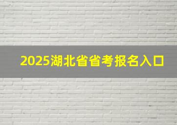 2025湖北省省考报名入口