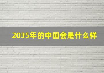 2035年的中国会是什么样