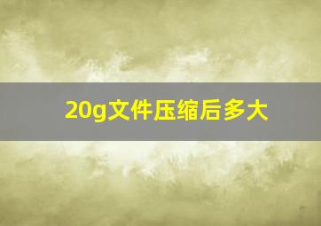 20g文件压缩后多大