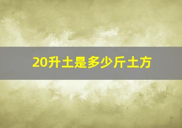 20升土是多少斤土方