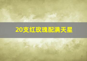 20支红玫瑰配满天星