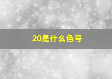 20是什么色号