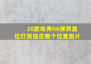 20款哈弗h6保养复位灯按钮在哪个位置图片