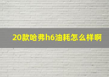 20款哈弗h6油耗怎么样啊