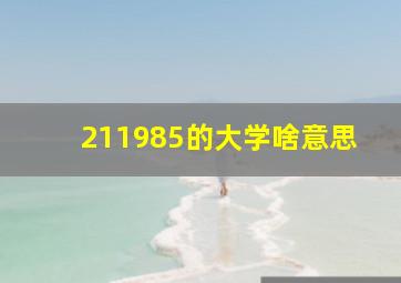 211985的大学啥意思