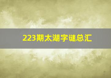 223期太湖字谜总汇