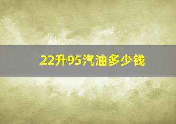 22升95汽油多少钱