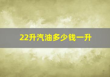 22升汽油多少钱一升