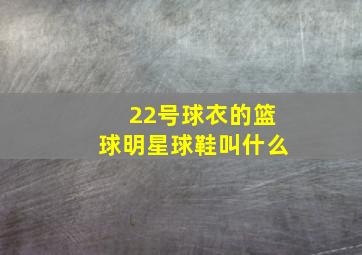 22号球衣的篮球明星球鞋叫什么