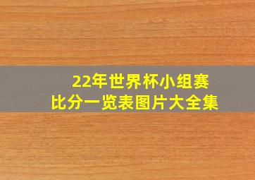 22年世界杯小组赛比分一览表图片大全集