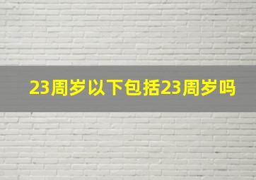 23周岁以下包括23周岁吗