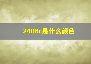 2408c是什么颜色