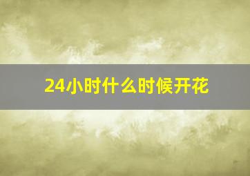 24小时什么时候开花