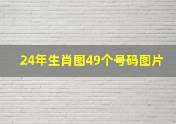 24年生肖图49个号码图片