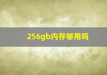 256gb内存够用吗