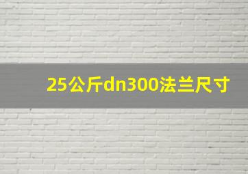 25公斤dn300法兰尺寸