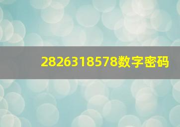 2826318578数字密码