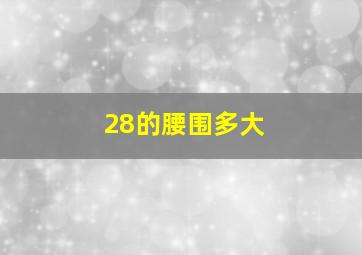 28的腰围多大