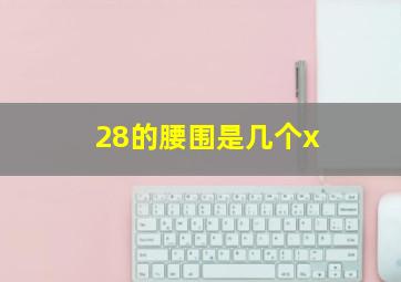 28的腰围是几个x