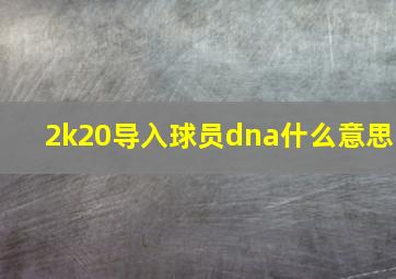 2k20导入球员dna什么意思