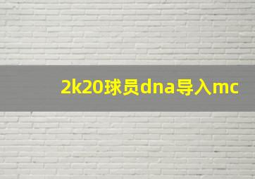 2k20球员dna导入mc