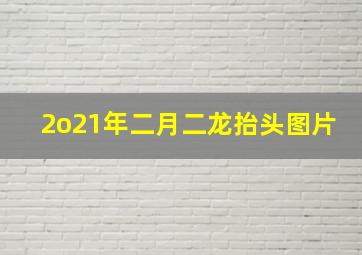 2o21年二月二龙抬头图片