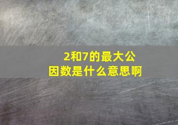 2和7的最大公因数是什么意思啊