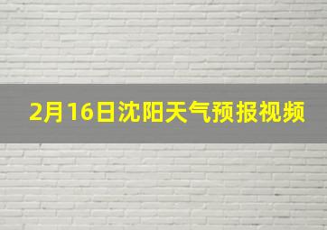 2月16日沈阳天气预报视频