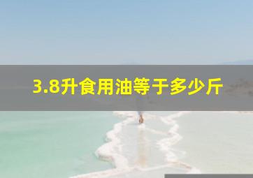 3.8升食用油等于多少斤