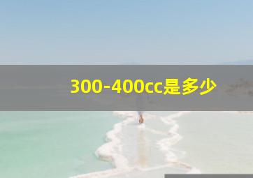 300-400cc是多少