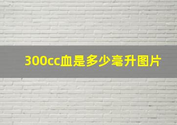 300cc血是多少毫升图片