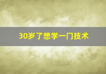 30岁了想学一门技术