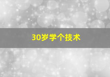 30岁学个技术