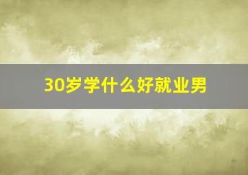 30岁学什么好就业男