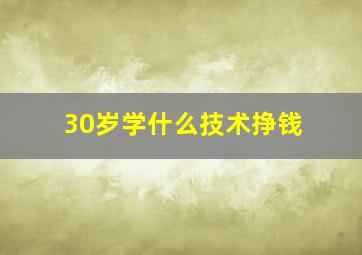 30岁学什么技术挣钱