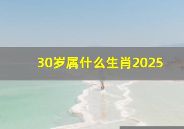 30岁属什么生肖2025