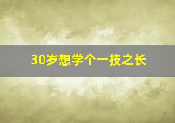 30岁想学个一技之长