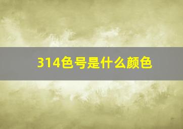 314色号是什么颜色