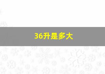 36升是多大