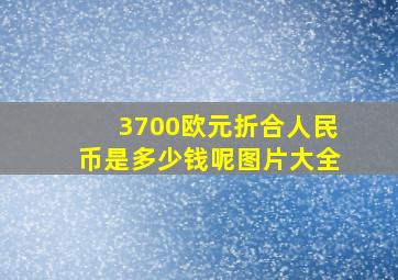 3700欧元折合人民币是多少钱呢图片大全