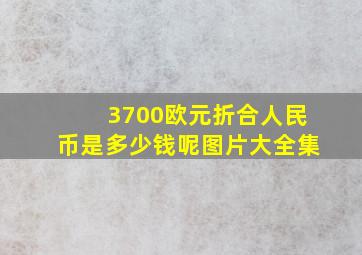 3700欧元折合人民币是多少钱呢图片大全集