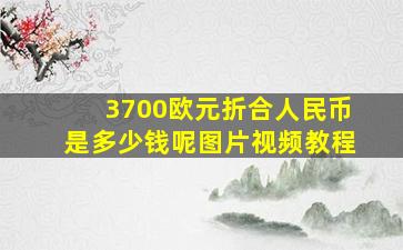 3700欧元折合人民币是多少钱呢图片视频教程