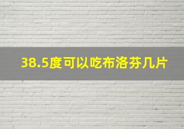 38.5度可以吃布洛芬几片