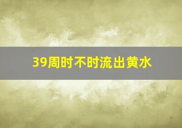 39周时不时流出黄水