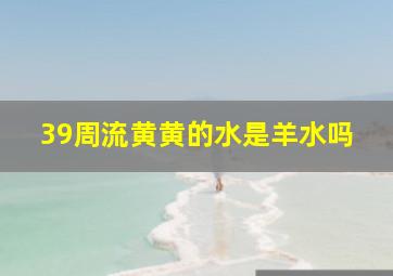 39周流黄黄的水是羊水吗