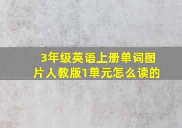 3年级英语上册单词图片人教版1单元怎么读的