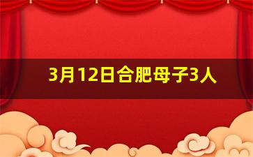 3月12日合肥母子3人