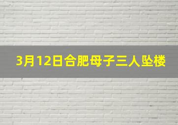 3月12日合肥母子三人坠楼