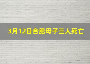 3月12日合肥母子三人死亡