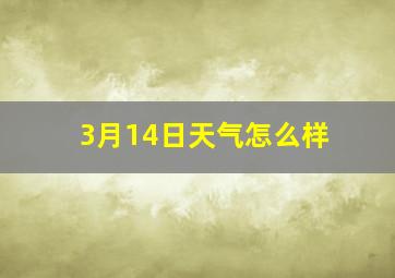 3月14日天气怎么样